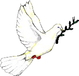Peace dove.png